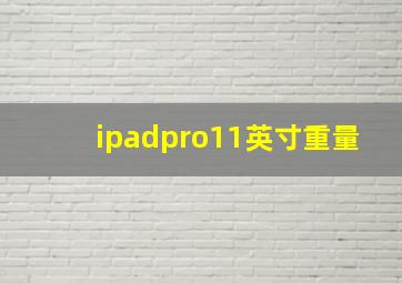 ipadpro11英寸重量