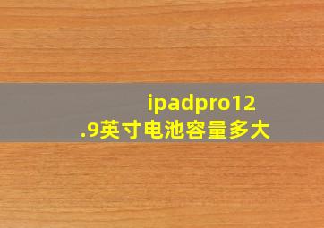 ipadpro12.9英寸电池容量多大