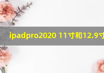 ipadpro2020 11寸和12.9寸电池