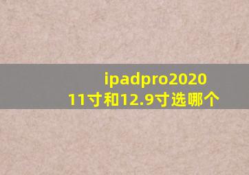 ipadpro2020 11寸和12.9寸选哪个