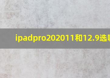 ipadpro202011和12.9选哪个