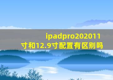 ipadpro202011寸和12.9寸配置有区别吗