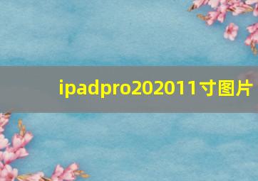 ipadpro202011寸图片