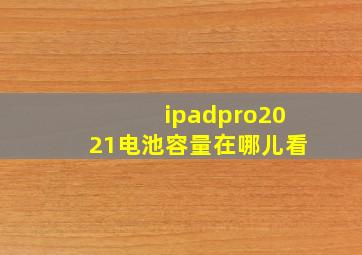 ipadpro2021电池容量在哪儿看