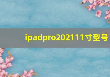 ipadpro202111寸型号