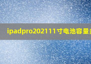 ipadpro202111寸电池容量多大