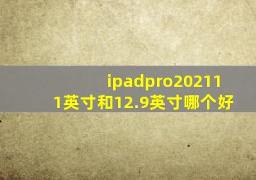 ipadpro202111英寸和12.9英寸哪个好