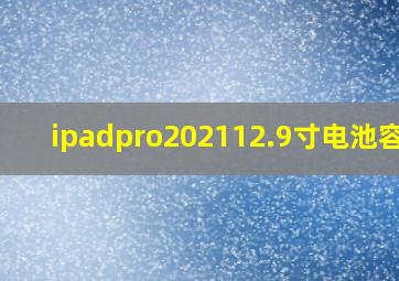 ipadpro202112.9寸电池容量