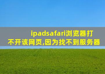 ipadsafari浏览器打不开该网页,因为找不到服务器