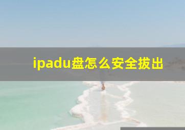 ipadu盘怎么安全拔出