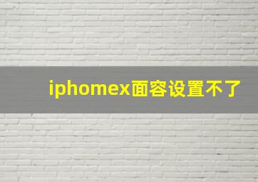 iphomex面容设置不了