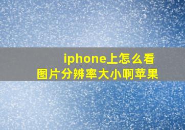 iphone上怎么看图片分辨率大小啊苹果