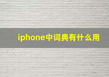 iphone中词典有什么用