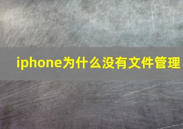 iphone为什么没有文件管理