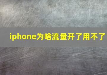 iphone为啥流量开了用不了