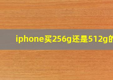 iphone买256g还是512g的好