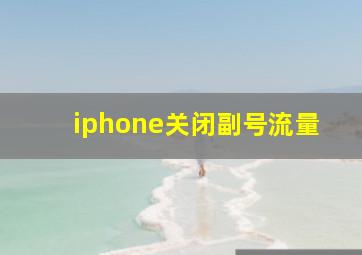 iphone关闭副号流量