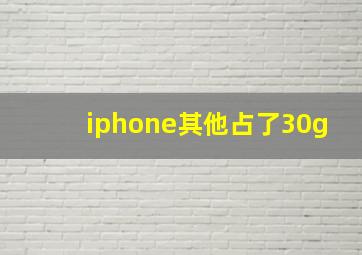 iphone其他占了30g