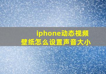 iphone动态视频壁纸怎么设置声音大小