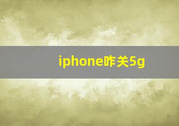 iphone咋关5g