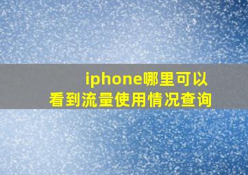 iphone哪里可以看到流量使用情况查询