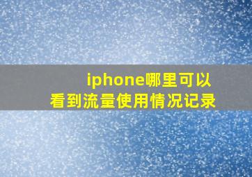 iphone哪里可以看到流量使用情况记录