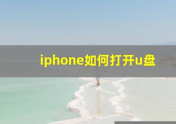 iphone如何打开u盘