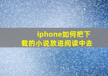 iphone如何把下载的小说放进阅读中去