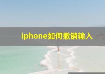 iphone如何撤销输入