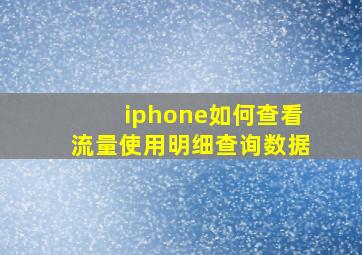 iphone如何查看流量使用明细查询数据