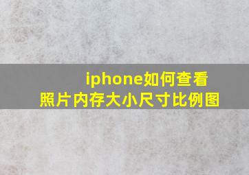 iphone如何查看照片内存大小尺寸比例图