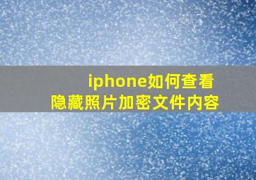 iphone如何查看隐藏照片加密文件内容