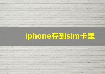 iphone存到sim卡里