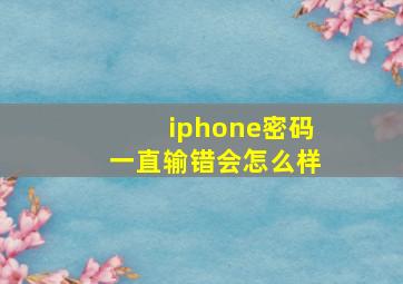 iphone密码一直输错会怎么样