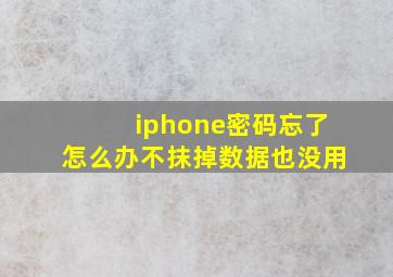 iphone密码忘了怎么办不抹掉数据也没用