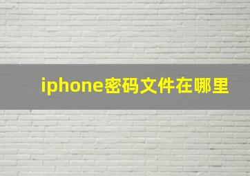 iphone密码文件在哪里