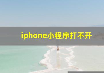 iphone小程序打不开