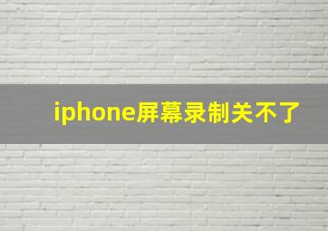 iphone屏幕录制关不了