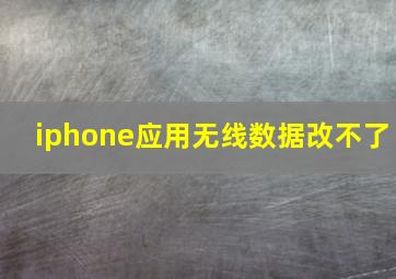 iphone应用无线数据改不了