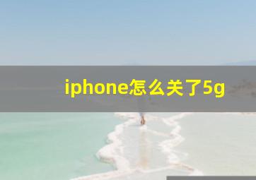 iphone怎么关了5g