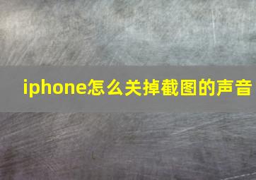 iphone怎么关掉截图的声音