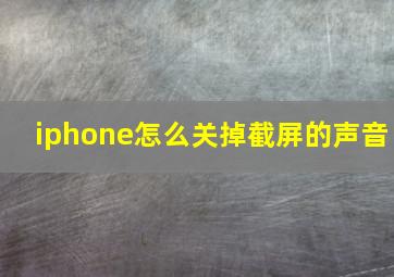 iphone怎么关掉截屏的声音