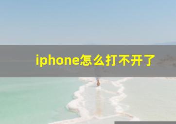 iphone怎么打不开了