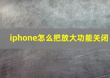 iphone怎么把放大功能关闭