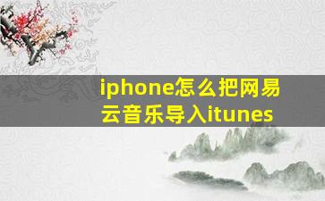 iphone怎么把网易云音乐导入itunes