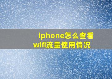 iphone怎么查看wifi流量使用情况