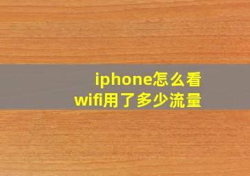 iphone怎么看wifi用了多少流量