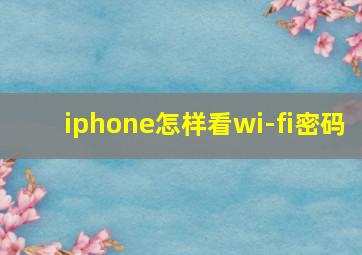 iphone怎样看wi-fi密码