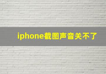 iphone截图声音关不了