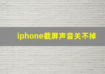 iphone截屏声音关不掉